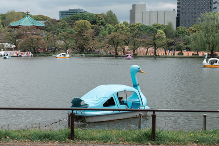 TOKYO, JAPAN - APRIL 8, 2023: People enjoy riding swan paddle boats in Shinobazu Pond in Ueno park with cherry blossom sakuraのeditorial素材