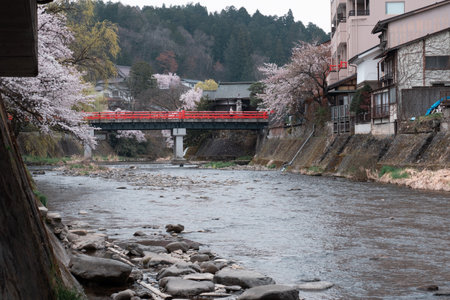TAKAYAMA, JAPAN - APRIL 5, 2023: Nakabashi bridge (traditional Japanese red bridge) with sakura cherry blossom in Aprilのeditorial素材