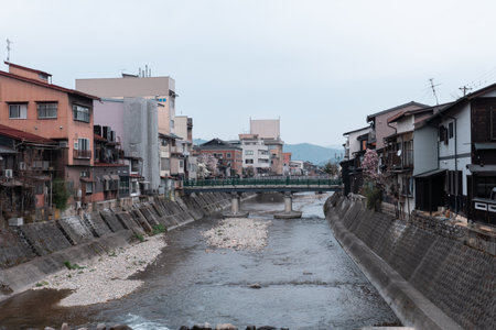 TAKAYAMA, JAPAN - APRIL 5, 2023: Yanagibashi bridge (traditional Japanese green bridge) with sakura cherry blossom in Aprilのeditorial素材