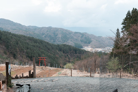 Tenku no torii shinto shrine on the mountain in Yamanashi, Japanのeditorial素材