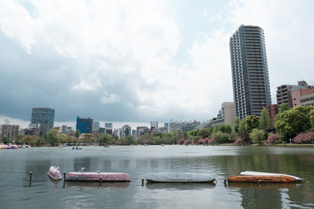 TOKYO, JAPAN - APRIL 8, 2023: People riding swan paddle boats in Shinobazu Pond in Ueno park with cherry blossom sakuraのeditorial素材