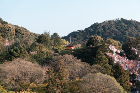 View of Kiyomizu dera temple and treesのeditorial素材