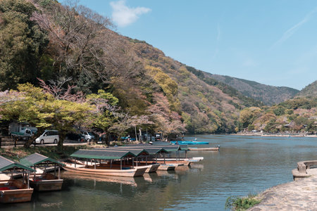 KYOTO, JAPAN - April 4, 2023: Boats in Katsura River in Arashiyama district with cherry blossom in spring timeのeditorial素材