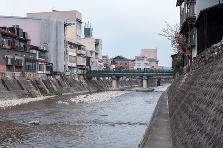 TAKAYAMA, JAPAN - APRIL 5, 2023: Yanagibashi bridge (traditional Japanese green bridge) with sakura cherry blossom in Aprilのeditorial素材