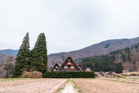 SHIRAKAWA, JAPAN - APRIL 5, 2023: Shirakawago Village World Heritage in Spring, Gifu, Japanのeditorial素材