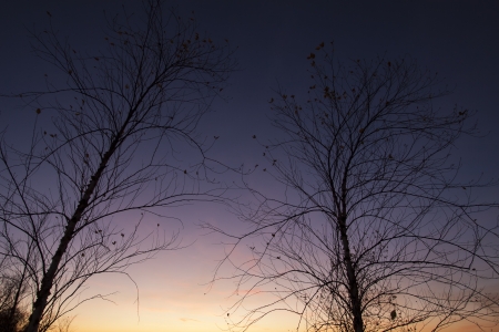 Nice scenery at twilight timeの写真素材