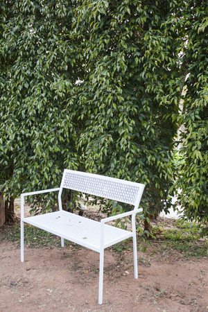 White bench seat in gardenの写真素材