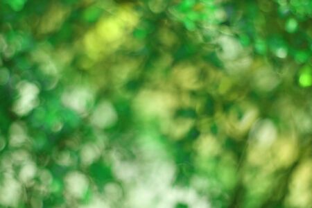 green bokeh abstract backgroundの写真素材