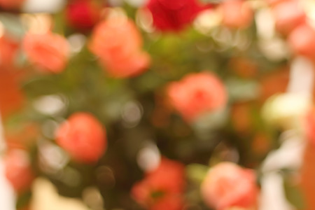 green and pink bokeh abstract light blur backgroundの写真素材