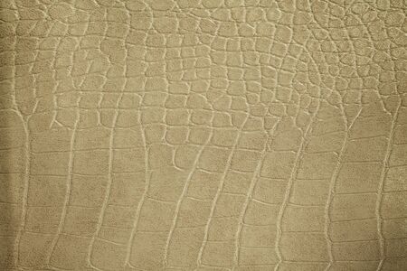 Background texture of leather.の写真素材