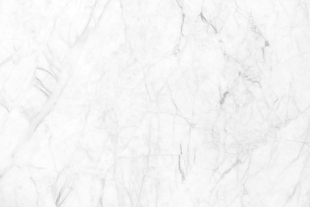Abstract white marble background with natural motifs.の写真素材