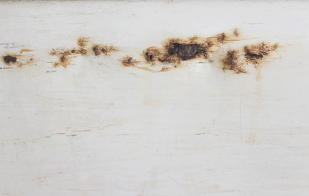 Broken surface of old car white grunge background. の写真素材