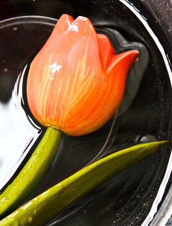 One Copy Tulip in the waterの写真素材