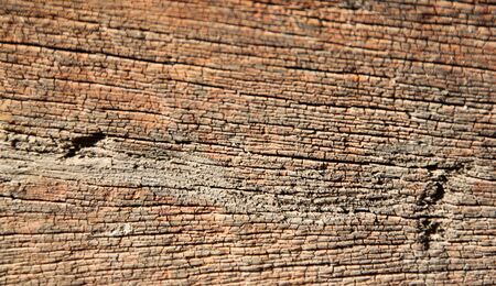 Texture of wooden