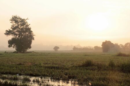 Soft background of sky in sunriseの写真素材