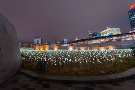 Seoul, South Korea - November 18, 2015 : LED flower garden at Dongdaemun Design Plaza (DDP).のeditorial素材