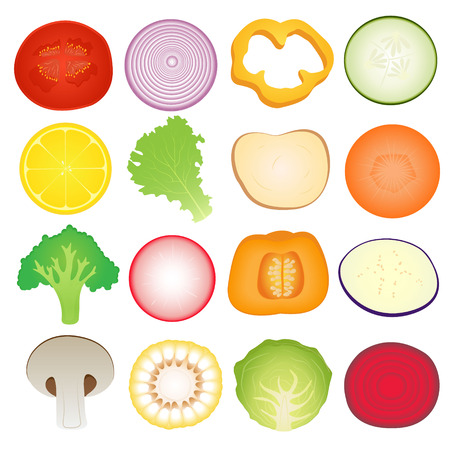 Vegetables Slice Setのイラスト素材