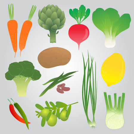 Organic  Vegetables Collectionのイラスト素材