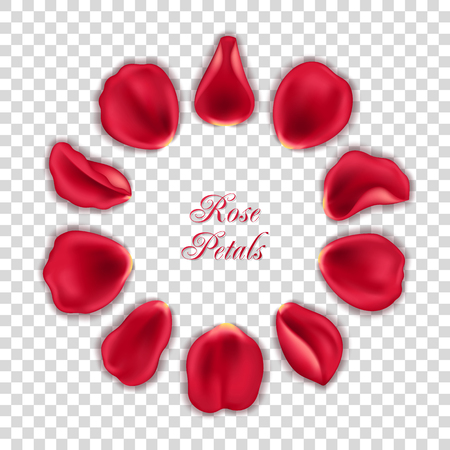Set of red rose petals on transparent backgroundのイラスト素材