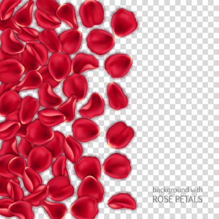 Red rose petals on transparent background. Design element for Valentines Day card or invitationのイラスト素材