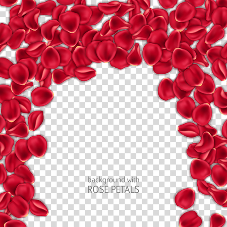 Red rose petals on transparent background. Design element for Valentines Day card or invitationのイラスト素材