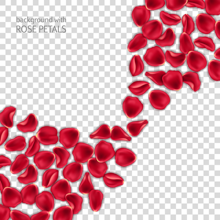 Red rose petals on transparent background. Design element for Valentines Day card or invitationのイラスト素材