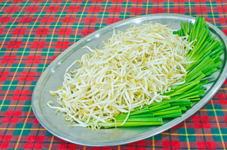 Bean Sprout is preparation serving in trayの写真素材