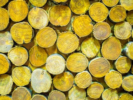 Wood for background and textureの写真素材