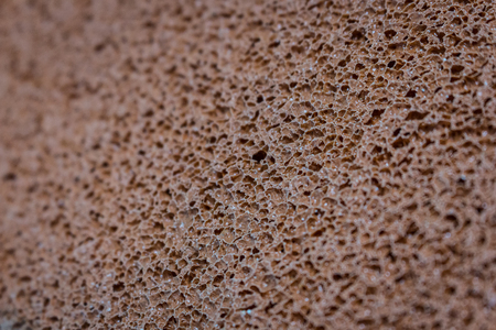 Red sponge texture for backgroundの写真素材