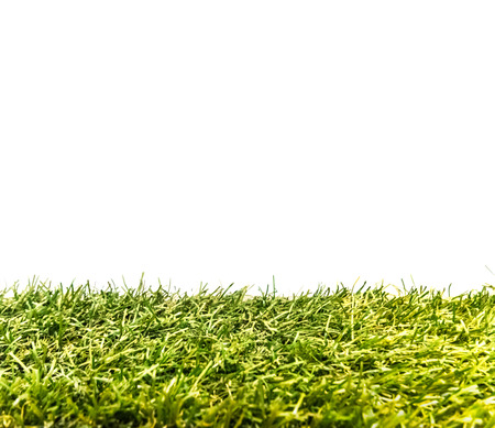 green grass on white backgroundの写真素材