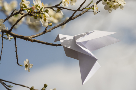 White origami dove bird hanging on blooming spring plum treeの写真素材