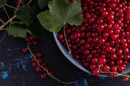 Homemade red currant jam preparation with fresh fruits