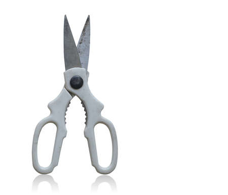 Stainless steel scissors with white plastic handle on white background, object, modern, copy space