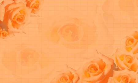 template orange and yellow roses background, background, name card, copy spaceの写真素材