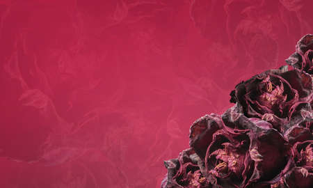 beautiful dry red roses corner on red background,name card, template, copy space