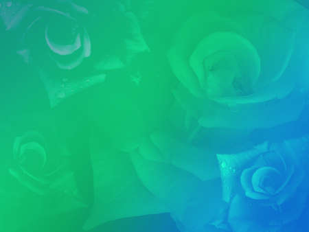 green and blue roses bouguet background, template, banner, name card, copy spaceの写真素材