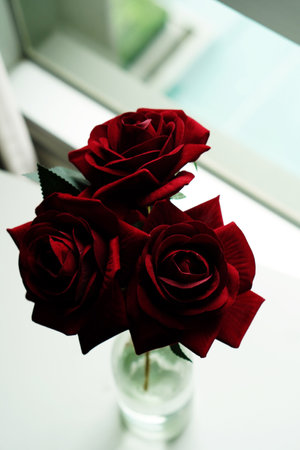 beautiful three red roses in a glass vase on white background, nature, love, valentine, copy spaceの写真素材