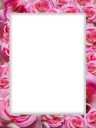 white square on pink and violet flower bouquet background, nature, object, decoration, vintage, copy spaceの写真素材