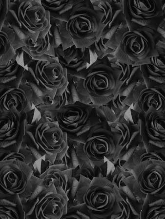 black and white roses textured background, nature, banner, template, backgroundの写真素材