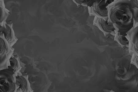 black and white roses flower bouquet background, banner, template, name card, decor, copy spaceの写真素材