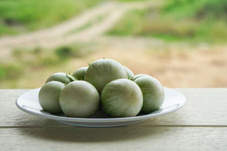 front view fresh solanum melongena vegetable on white dish on white wooden background, on nature background, vegetable, health, copy spaceの写真素材