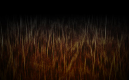 drak and brown texture nature background, onject, decor, halloween, religion, copy spaceの写真素材