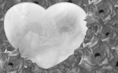 black and white heart shape on black and white roses stack background, nature, decor, banner, template, card, copy spaceの写真素材