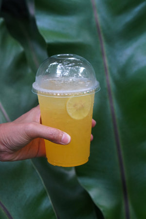 hand holding lemonade soda and lemon slice in plastic glass on green leaves background, food, drink,...