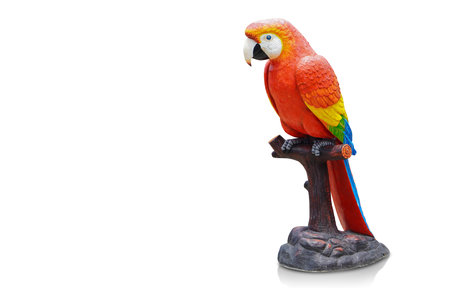 closeup red, yellow, green and blue parrot perched on a brown and black branch on white background, animal, object, decor, fashion, gift, copy spaceの写真素材