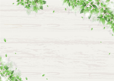 Fresh green leaves on white wooden background with copy space, vector illustration.のイラスト素材