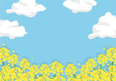 Rape blossoms and clouds spring frameのイラスト素材