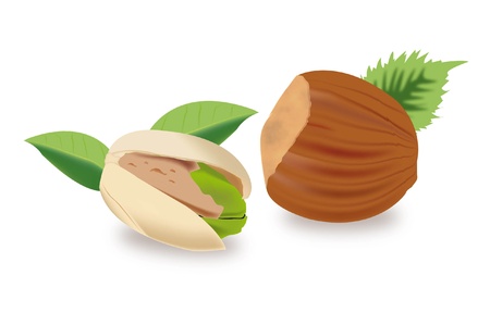 dry fruitsのイラスト素材