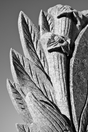 Stone flowerの写真素材