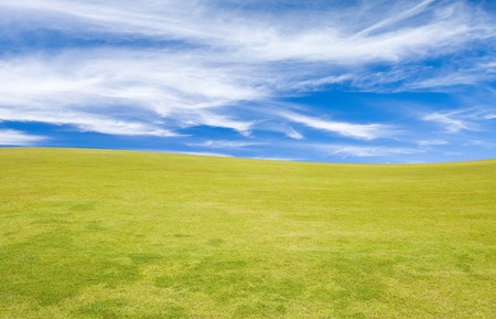 Green grass with blue sky